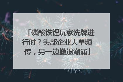磷酸铁锂玩家洗牌进行时？头部企业大单频传，另一边撤退潮涌