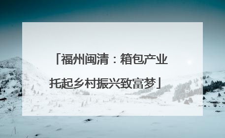 福州闽清：箱包产业托起乡村振兴致富梦
