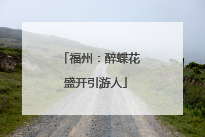 福州：醉蝶花盛开引游人