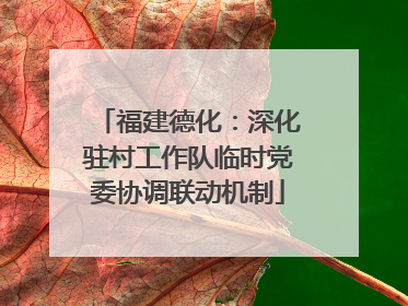 福建德化：深化驻村工作队临时党委协调联动机制