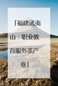 福建武夷山：职业教育服务茶产业