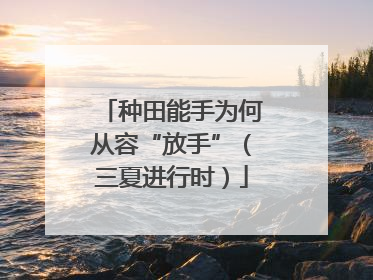 种田能手为何从容“放手”（三夏进行时）