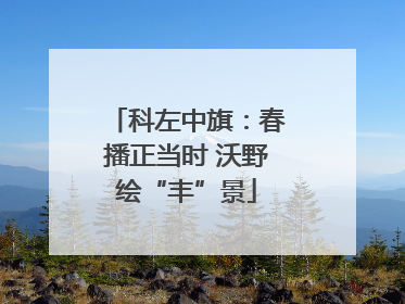 科左中旗：春播正当时 沃野绘“丰”景