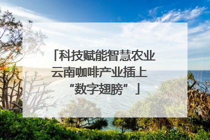 科技赋能智慧农业 云南咖啡产业插上“数字翅膀”