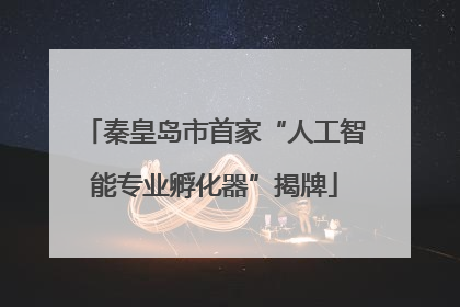 秦皇岛市首家“人工智能专业孵化器”揭牌