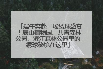 端午奔赴一场绣球盛宴！辰山植物园、共青森林公园、滨江森林公园里的绣球秘境在这里