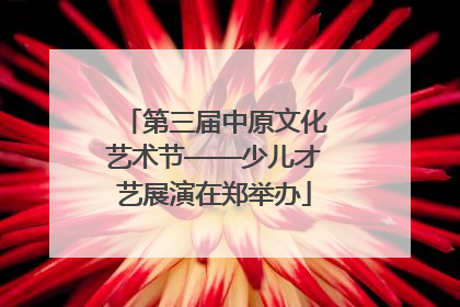 第三届中原文化艺术节——少儿才艺展演在郑举办