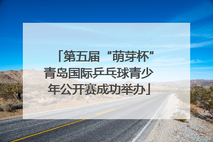 第五届“萌芽杯”青岛国际乒乓球青少年公开赛成功举办