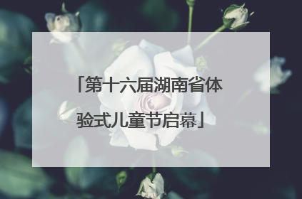 第十六届湖南省体验式儿童节启幕