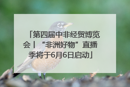 第四届中非经贸博览会丨“非洲好物”直播季将于6月6日启动