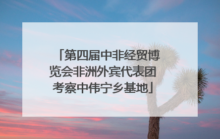 第四届中非经贸博览会非洲外宾代表团考察中伟宁乡基地