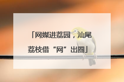 网媒进荔园，汕尾荔枝借“网”出圈
