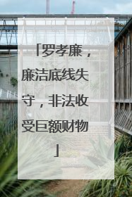 罗孝廉，廉洁底线失守，非法收受巨额财物