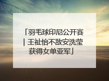 羽毛球印尼公开赛｜王祉怡不敌安洗莹 获得女单亚军