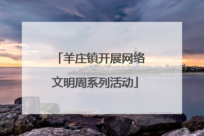 羊庄镇开展网络文明周系列活动