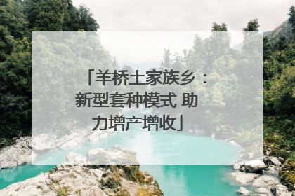 羊桥土家族乡：新型套种模式 助力增产增收