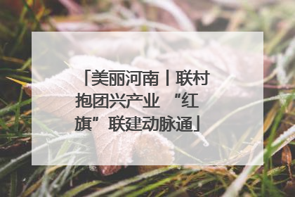 美丽河南丨联村抱团兴产业 “红旗”联建动脉通