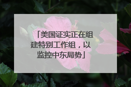 美国证实正在组建特别工作组，以监控中东局势