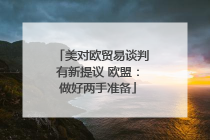 美对欧贸易谈判有新提议 欧盟：做好两手准备