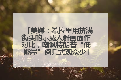 美媒：希拉里用挤满街头的示威人群画面作对比，嘲讽特朗普“低能量”阅兵式观众少