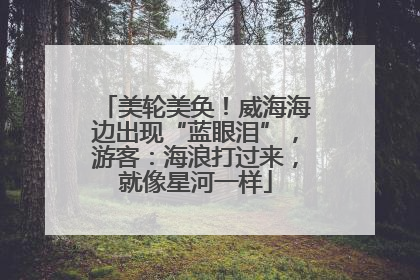 美轮美奂！威海海边出现“蓝眼泪”，游客：海浪打过来，就像星河一样