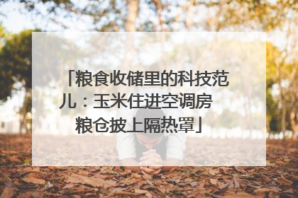 粮食收储里的科技范儿：玉米住进空调房 粮仓披上隔热罩