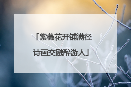 紫薇花开铺满径 诗画交融醉游人