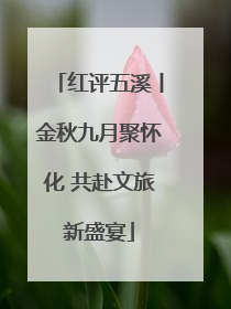 红评五溪丨金秋九月聚怀化 共赴文旅新盛宴