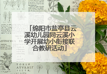 绵阳市盐亭县云溪幼儿园同云溪小学开展幼小衔接联合教研活动