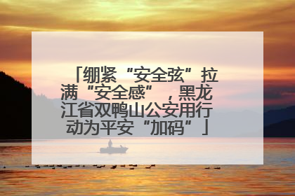 绷紧“安全弦”拉满“安全感”，黑龙江省双鸭山公安用行动为平安“加码”