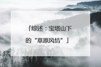 综述：宝塔山下的“草原风情”