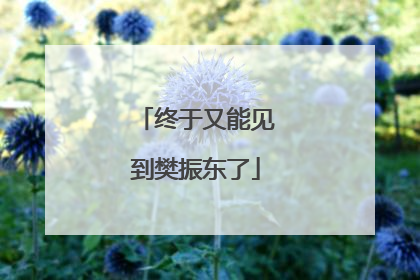 终于又能见到樊振东了