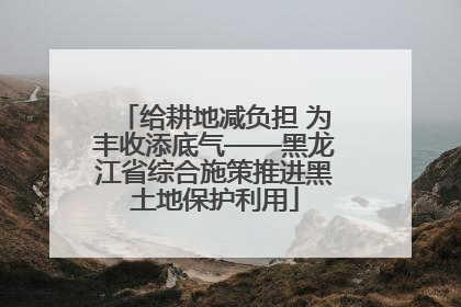 给耕地减负担 为丰收添底气——黑龙江省综合施策推进黑土地保护利用