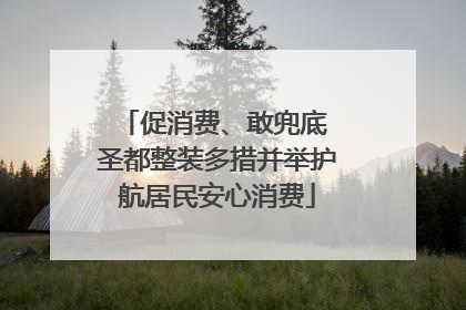 促消费、敢兜底 圣都整装多措并举护航居民安心消费