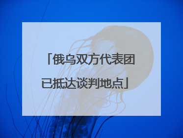 俄乌双方代表团已抵达谈判地点