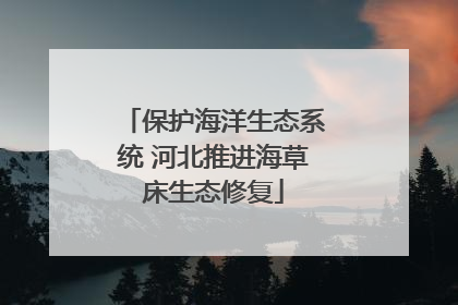 保护海洋生态系统 河北推进海草床生态修复
