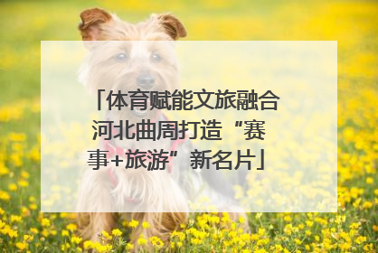 体育赋能文旅融合 河北曲周打造“赛事+旅游”新名片
