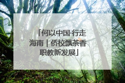 何以中国·行走海南｜侨校飘茶香 职教新发展
