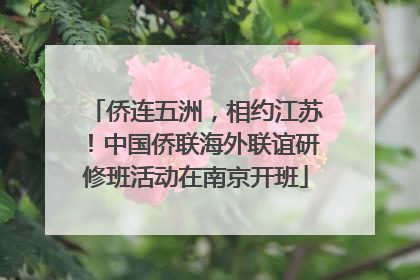 侨连五洲，相约江苏！中国侨联海外联谊研修班活动在南京开班