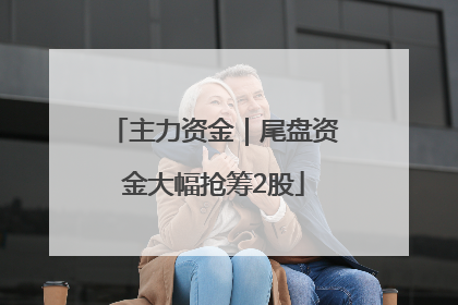 主力资金｜尾盘资金大幅抢筹2股