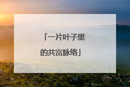 一片叶子里的共富脉络