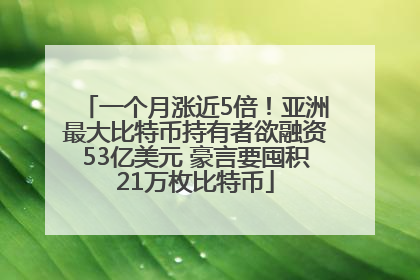 一个月涨近5倍！亚洲最大比特币持有者欲融资53亿美元 豪言要囤积21万枚比特币