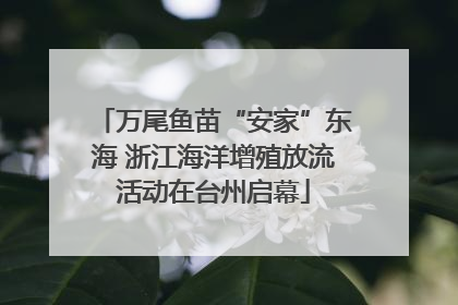 万尾鱼苗“安家”东海 浙江海洋增殖放流活动在台州启幕