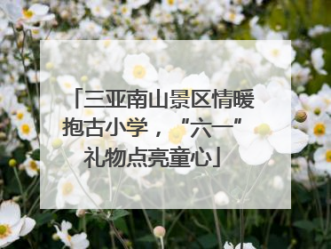 三亚南山景区情暖抱古小学，“六一”礼物点亮童心