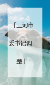 三河市委书记调整