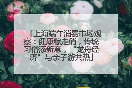 上海端午消费市场观察：健康粽走俏，传统习俗添新意，“龙舟经济”与亲子游共热