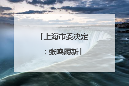 上海市委决定：张鸣履新