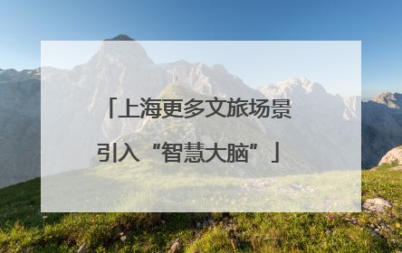 上海更多文旅场景引入“智慧大脑”