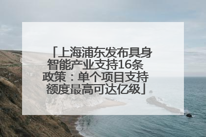 上海浦东发布具身智能产业支持16条政策：单个项目支持额度最高可达亿级