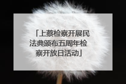 上蔡检察开展民法典颁布五周年检察开放日活动